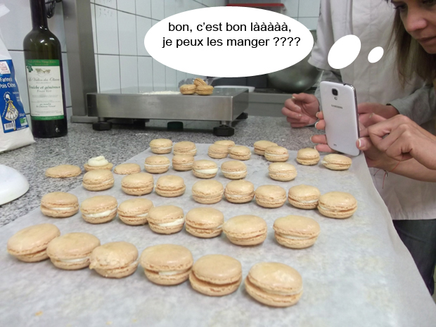 23 copie