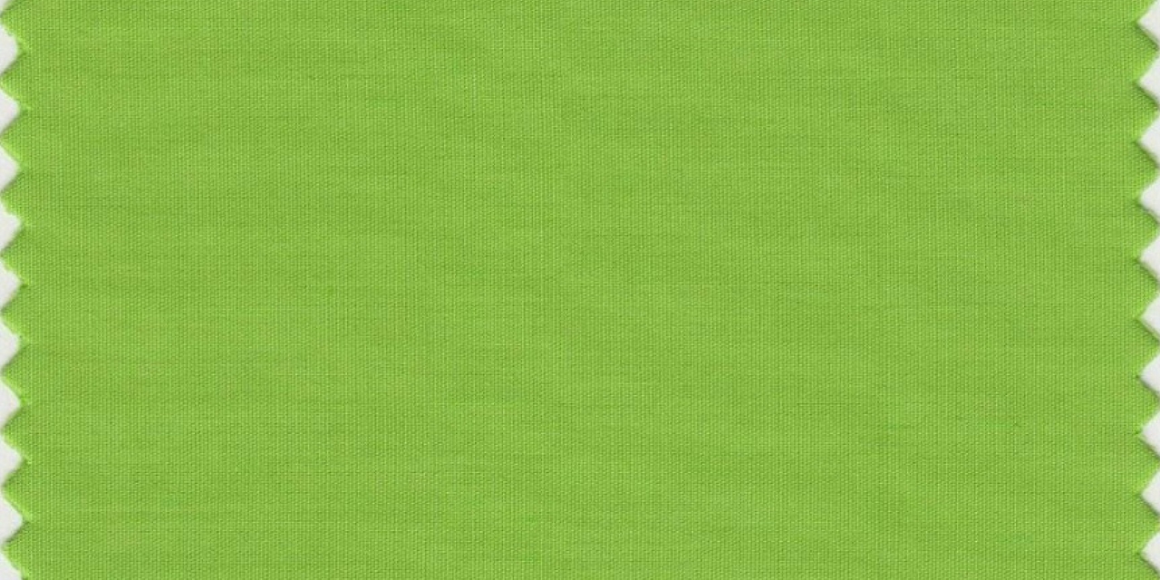 Le-vert-Greenery-a-ete-designe-couleur-de-l-annee-2017