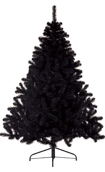 Sapin Noir Gifi