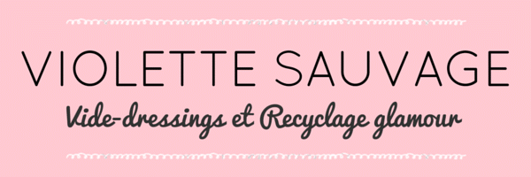 Violette-sauvage-vide-dressing