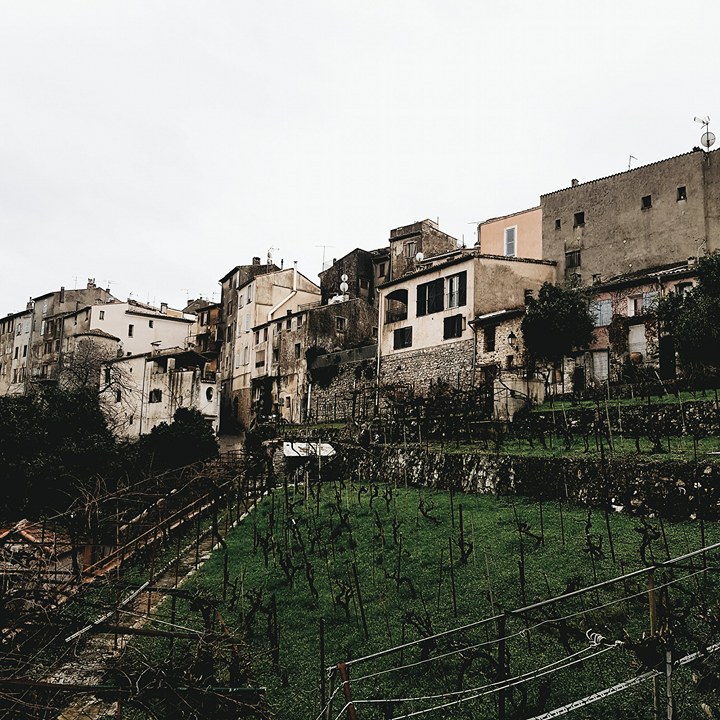 biot