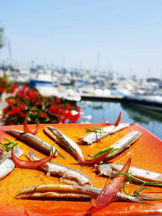 bistrot_du_port_golfe_juan