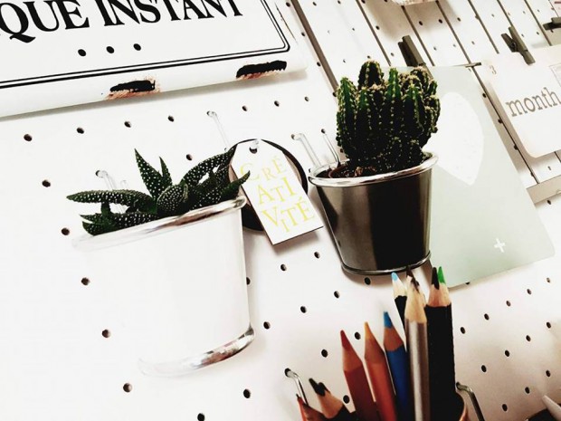 cactus_pegboard