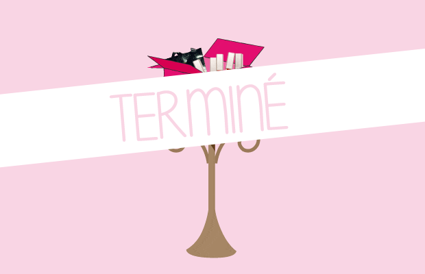 Le cadeau surprise Carmen Steffens