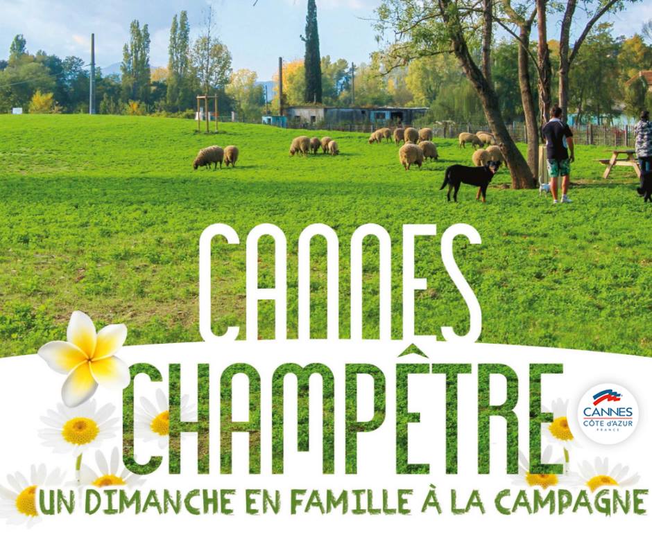 5 raisons qui vont vous donner envie d’aller à Cannes Champêtre ce week-end ! cannes-champêtre