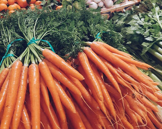 carottes