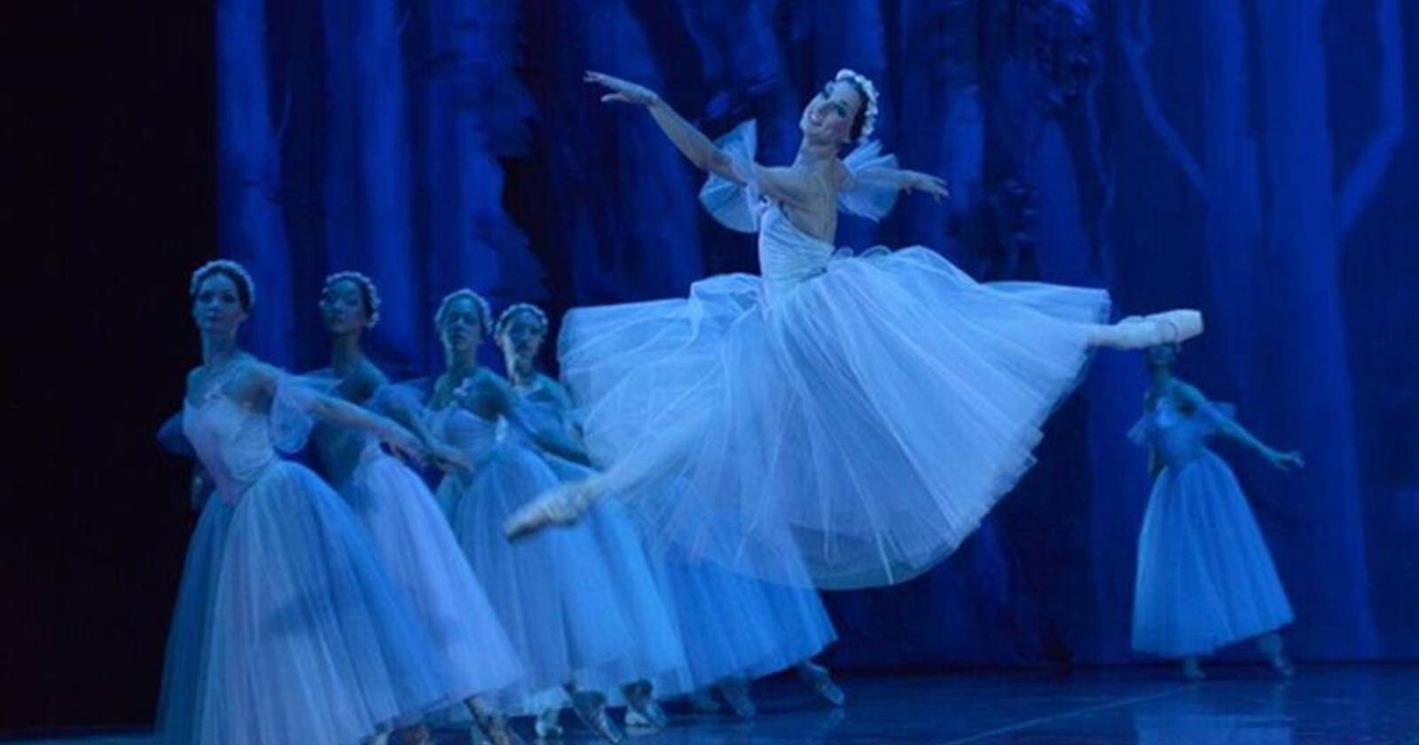 Les spectacles de danses à suivre danse-classique