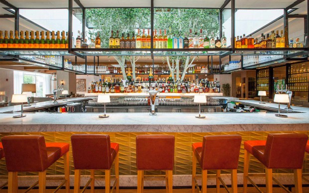 fig and olive