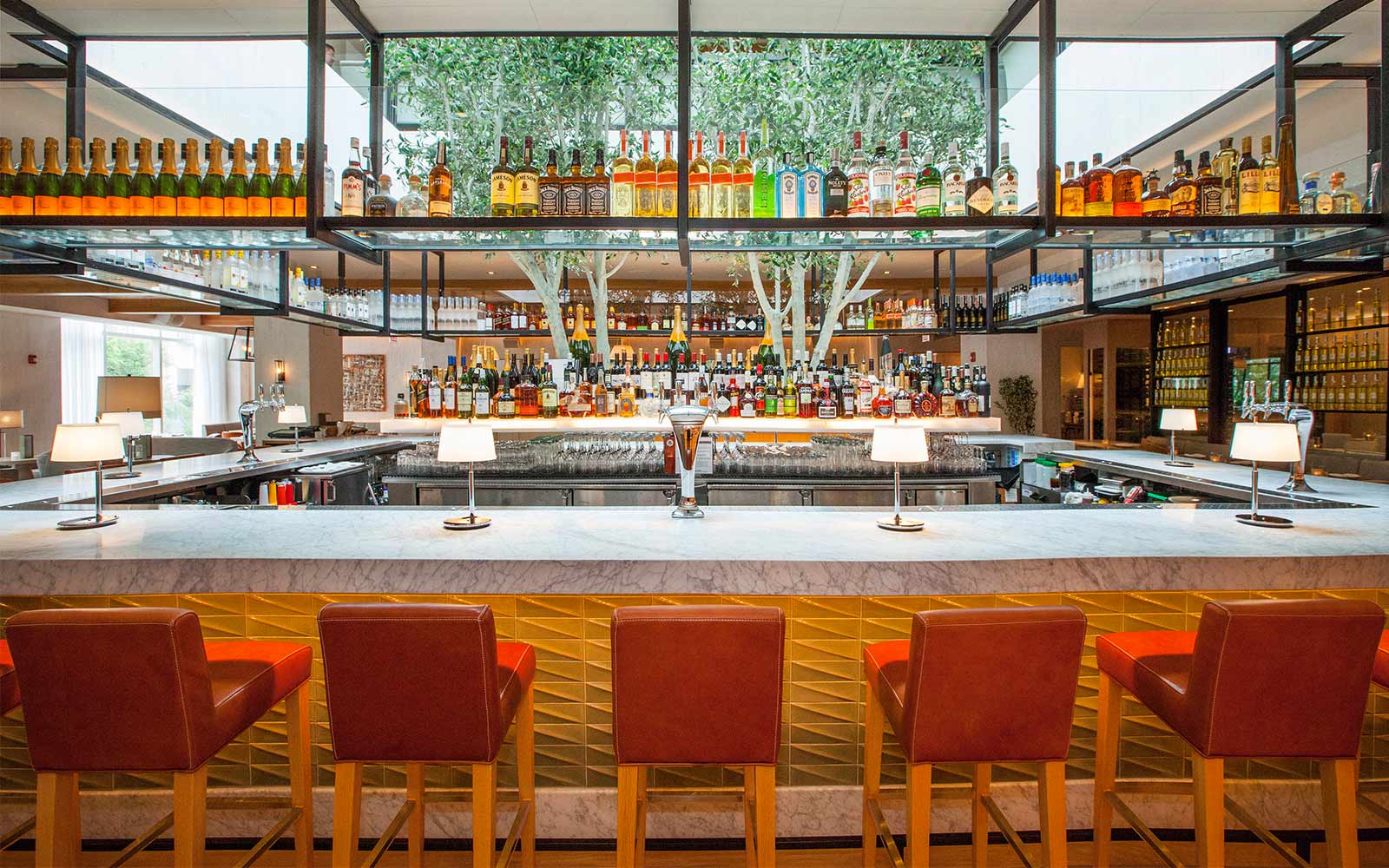 fig and olive