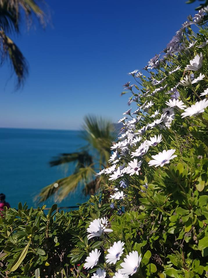 fleurs-mano