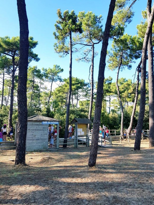gare-gatseau