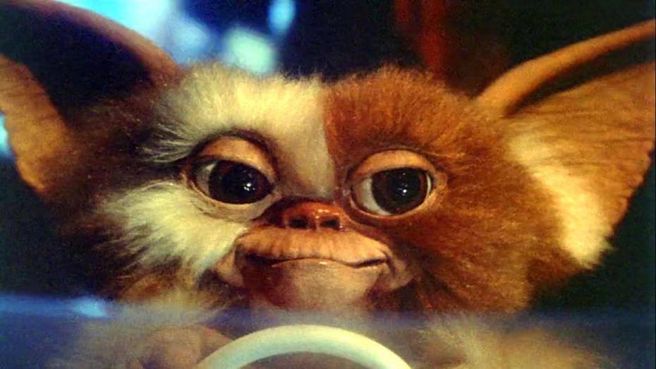 gizmo-au-volant