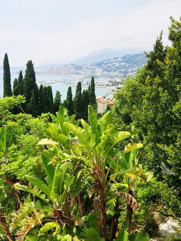 jardin-mauro
