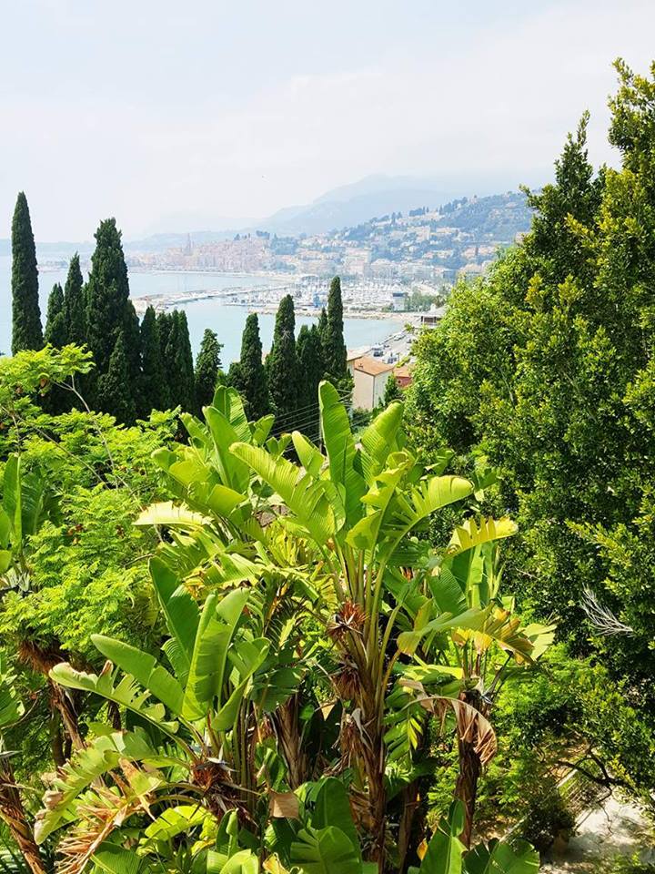 jardin-mauro