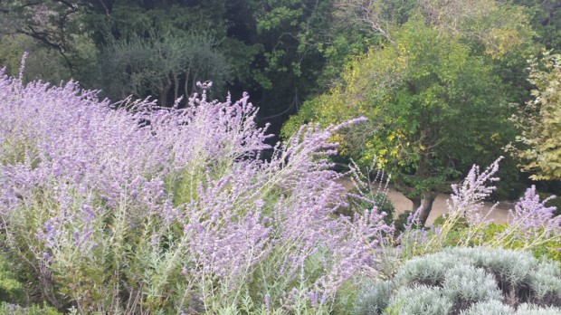 jardin_mas_candille
