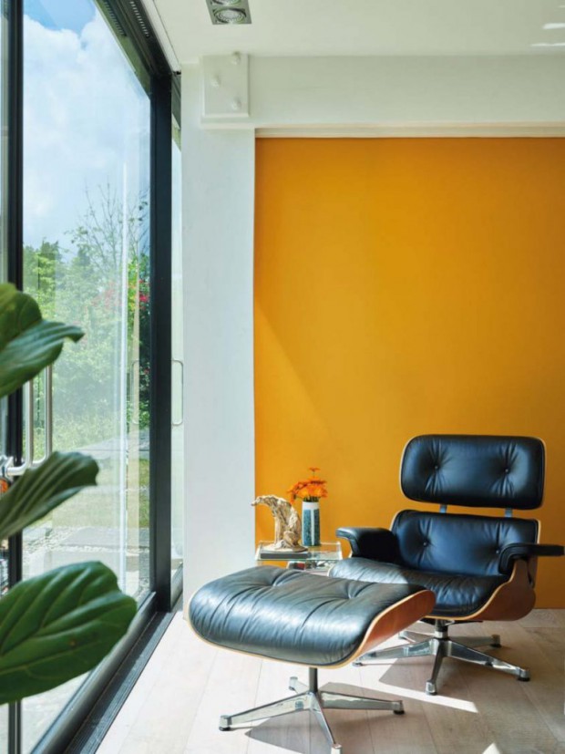 jaune-tendance