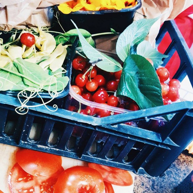 légumes