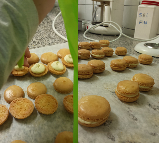 macaron_socca
