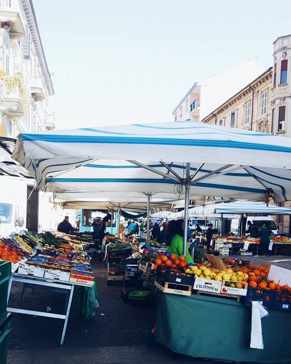 marche-alessandria