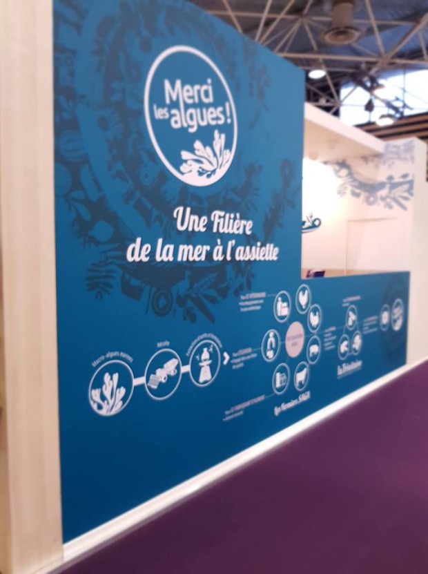 merci-les-algues