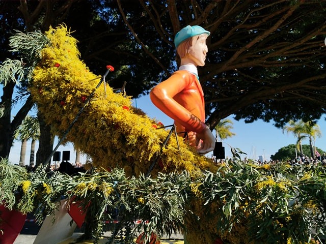 Un festival de couleurs sur la Côte d’Azur à Mandelieu, Cannes et Antibes mimosa-2020