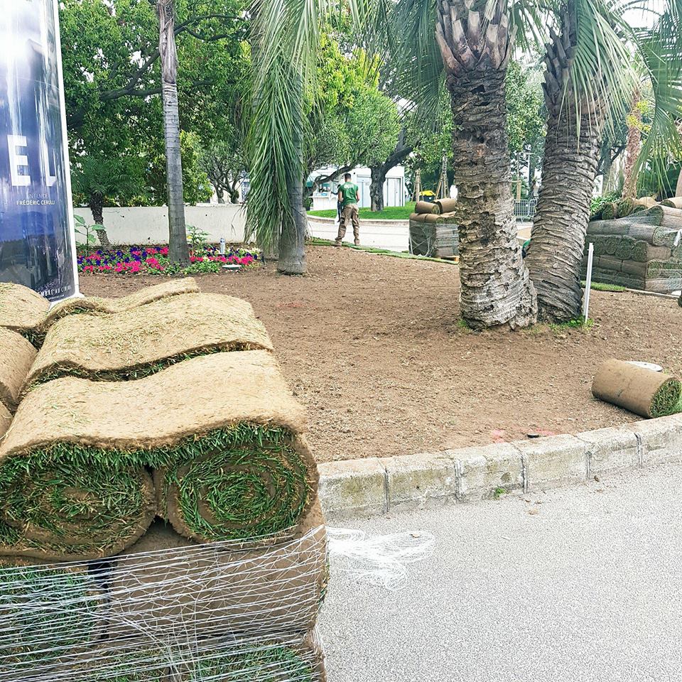 pelouse-cannes