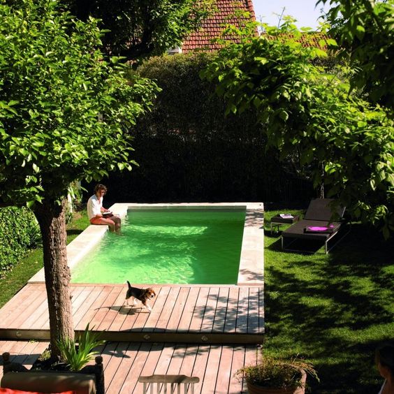 Piscine ou spa chez soi, un duel au soleil piscine
