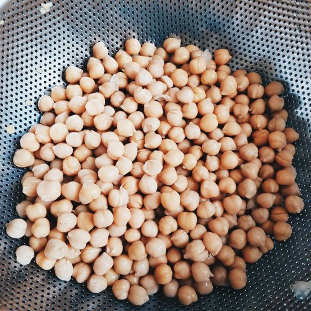 pois-chiche