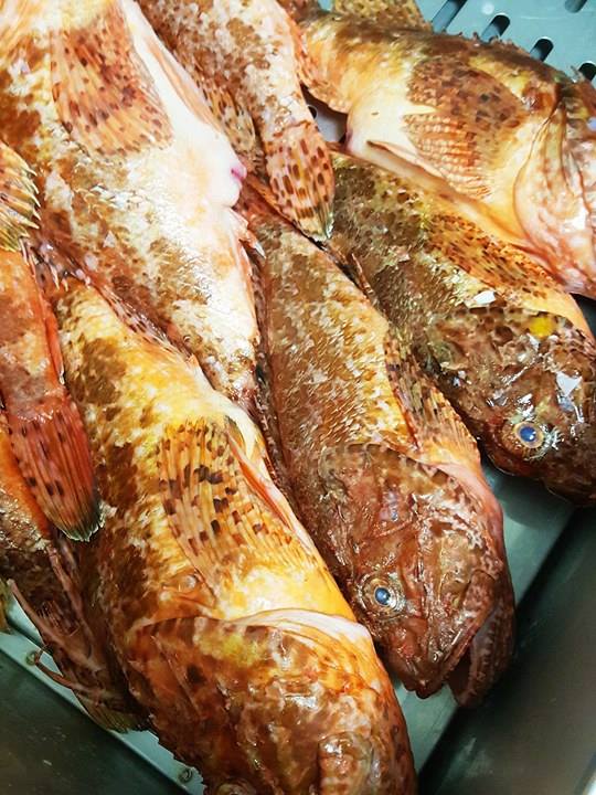 poissons-bistrot-du-port-golfe