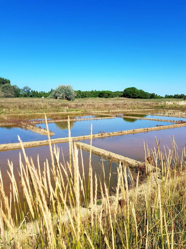 port-salines
