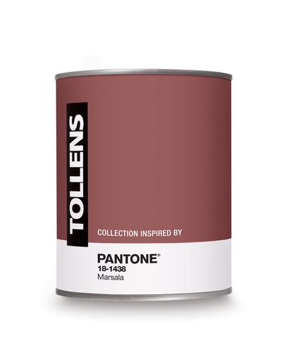 pot-de-peinture-tollens-couleur-marsala-couleur-de-l-annee-2015_5164127