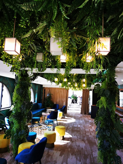 roof-cannes