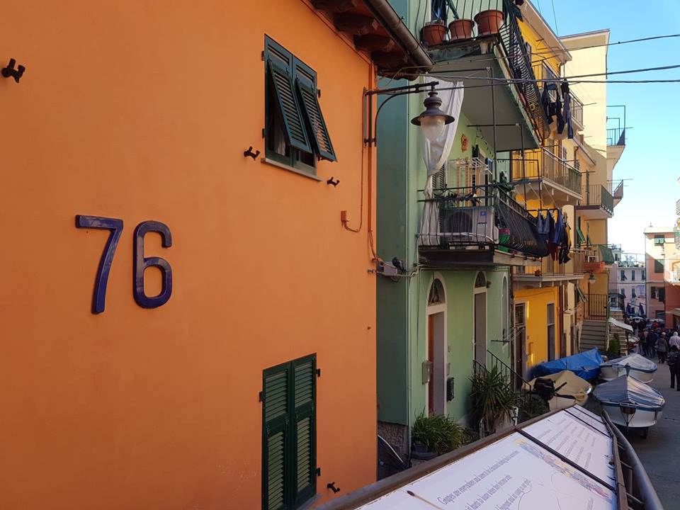 rue-manorola