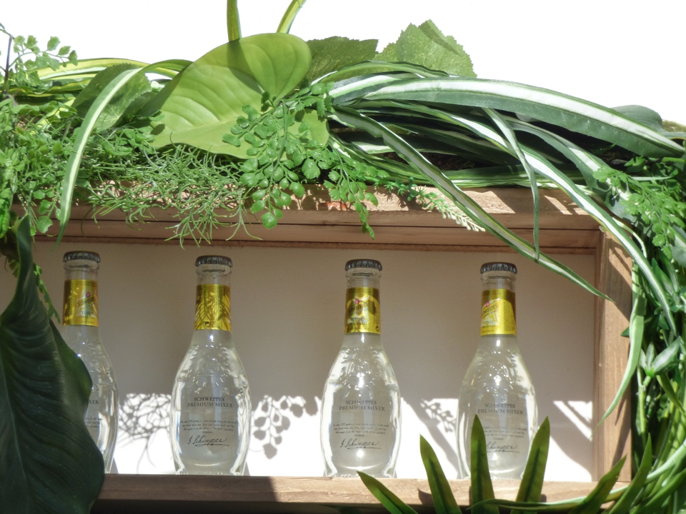 villa_schweppes_cannes_2015