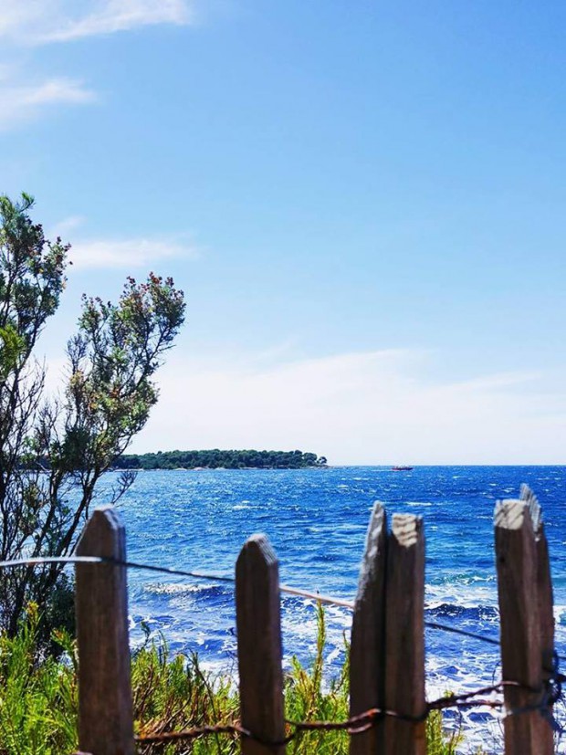 vue-honorat