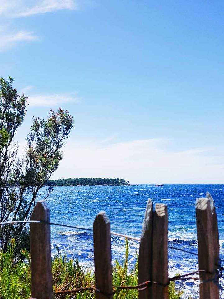 vue-honorat
