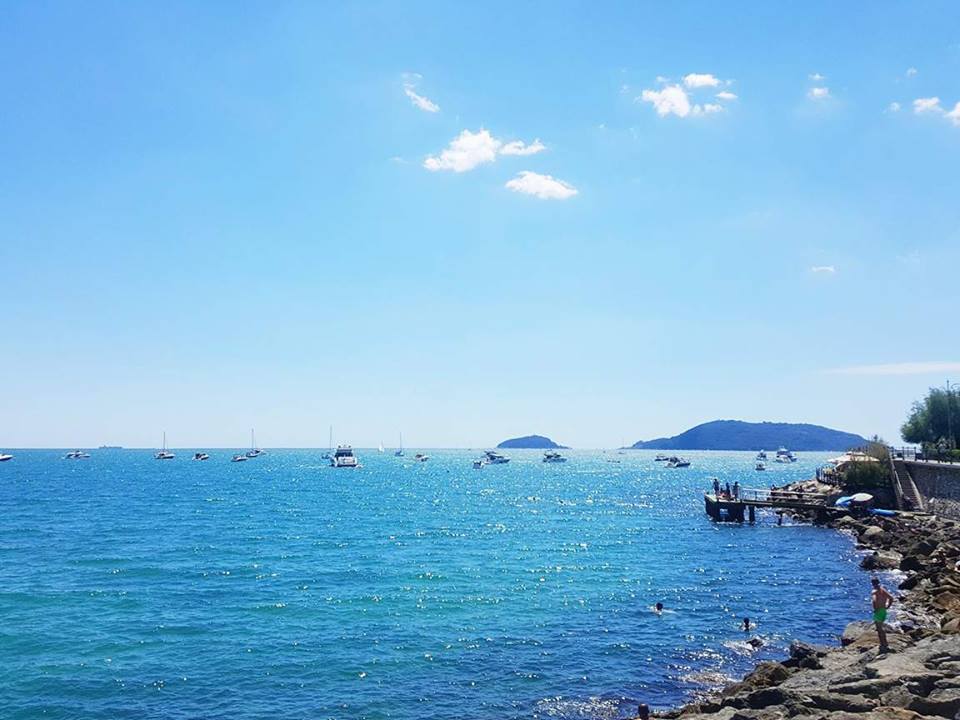 vue-lerici