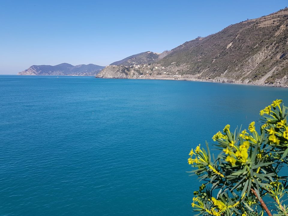 vue mer manorola